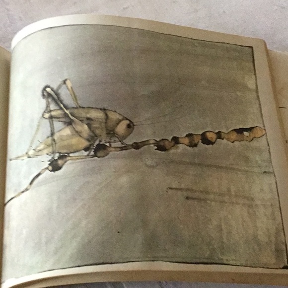 The Trees Stand Shining, Poetry of the North American Indians 1971 used - Picture 5 of 6